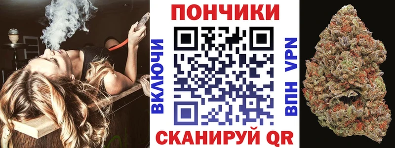 Бошки марихуана OG Kush  Купить закладки  Вологда 